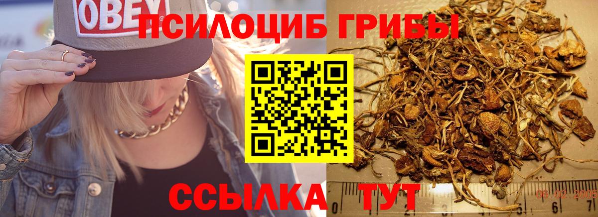 Кимовск  Галлюциногенные грибы MAGIC MUSHROOMS  цена наркотик  Вход с VPN 